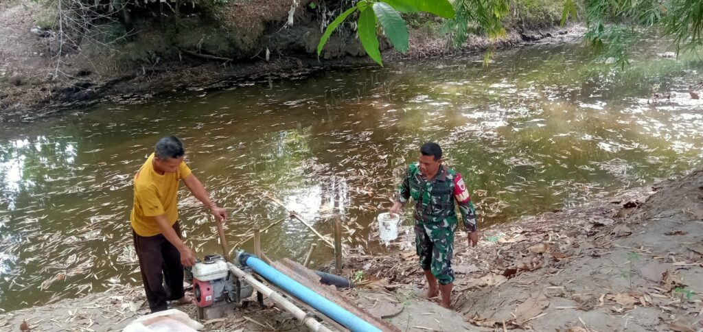 Pendampingan Program Pompanisasi oleh Babinsa Desa Gandul di Lahan Pembibitan Padi