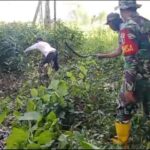 Lingkungan Sekitar Bekas Pasar Sungai Bakung Dibersihkan Koramil Sungai Tabuk Dibantu Warga Sekitar