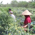 Bangun Ekonomi Kampung Halaman, Ini Yang Dilakukan Sertu Irwan Yuliadi