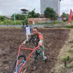 Babinsa Koramil 1015-04/Baamang Bantu Petani Membajak Sawah Di Wilayah Desa Binaan