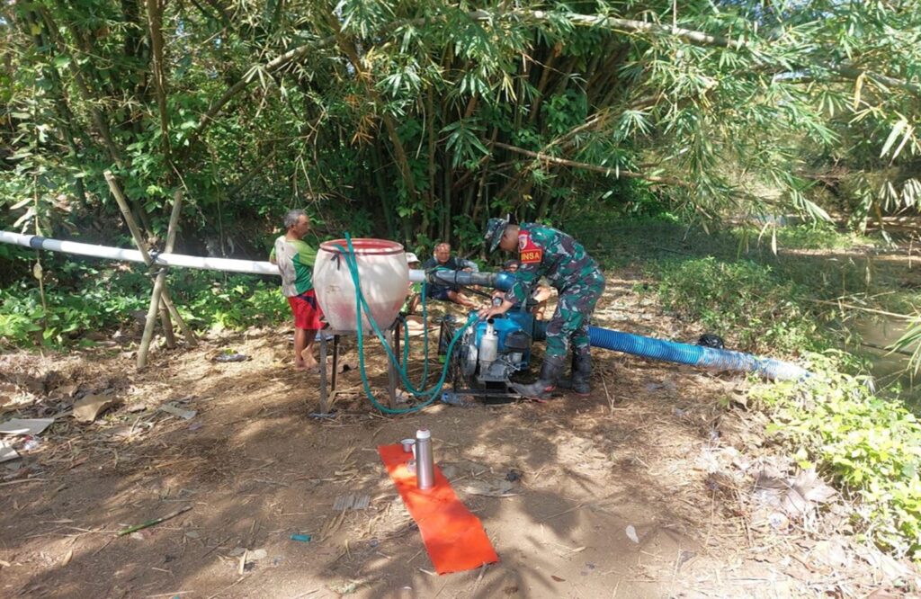 Program Pompanisasi Berkontribusi Positif, Babinsa Pagergunung Blitar Dampingi Poktan Gunung Makmur