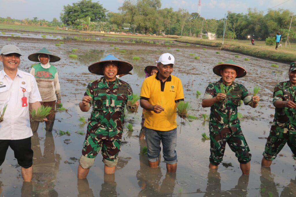 Dandim Madiun Dampingi Danrem 081/Dsj Tanam Padi dan Peninjauan Sumur Bor.