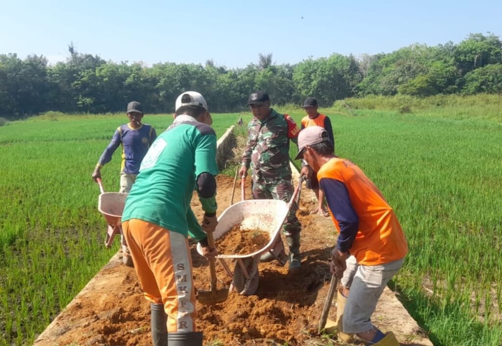 Babinsa Kayu Rabah Bersama Warga Gotong Royong Pembangunan Jalan Usaha Tani 