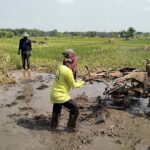 Babinsa Desa Kepet Dampingi Petani Olah Lahan Pertanian