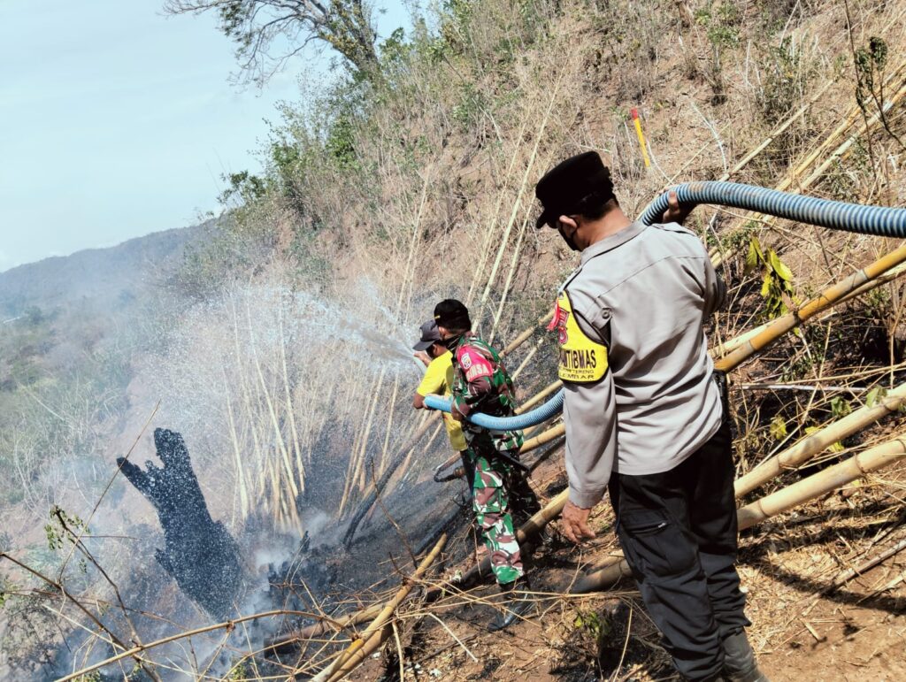 Aksi Tanggap Babinsa Berhasil Jinakkan Api di Rumpun Bambu, Sinergi TNI dan Warga Dipuji