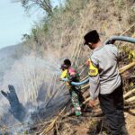 Aksi Tanggap Babinsa Berhasil Jinakkan Api di Rumpun Bambu, Sinergi TNI dan Warga Dipuji