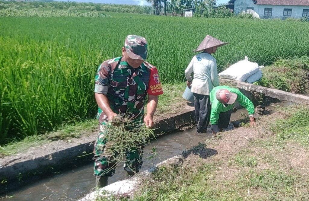 Penuhi Kebutuhan Air Petani, Babinsa Bersama Warga Bersihkan Saluran Irigasi