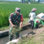 Penuhi Kebutuhan Air Petani, Babinsa Bersama Warga Bersihkan Saluran Irigasi