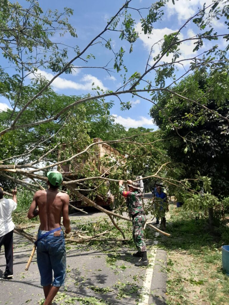 Gerak Cepat Babinsa Koramil 1001-04/Batumandi Evakuasi Pohon Tumbang