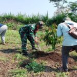 Menyatu Dengan Alam, Babinsa Sananwetan Tanam Pohon Bersama Di Tanggul Sungai Beru