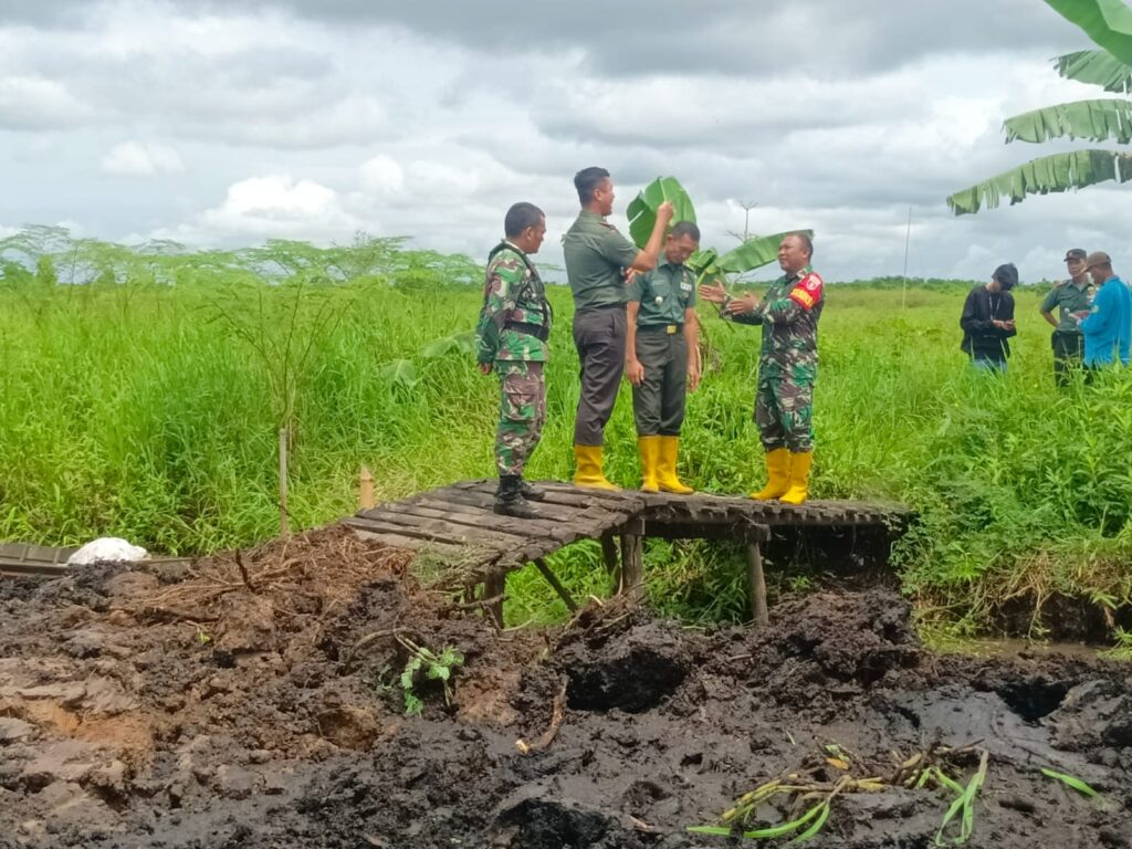 Kodim 1002/HST Bantu Petani Kambat Utara Makmur