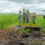 Kodim 1002/HST Bantu Petani Kambat Utara Makmur