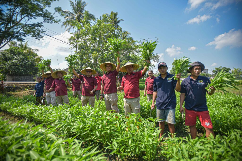 Dukung Program Ketahanan Pangan, Lapas Lombok Barat Panen Raya Kangkung