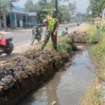 Bersama Poktan,Babinsa Bahu Membahu Bersihkan Irigasi Lahan Pertanian