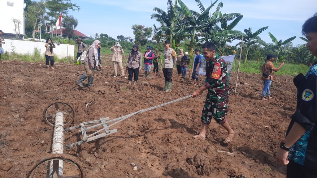 Program Asta Cita Presiden RI,  Babinsa Bersama Distan Kabupaten Banjar Tanam Padi Dilahan Pertanian Ponpes  Ushuluddin 