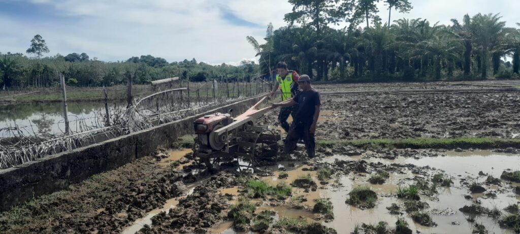 Dukung Kesejahteraan Petani, Sertu Iwan Palentino Bantu Membajak Sawah