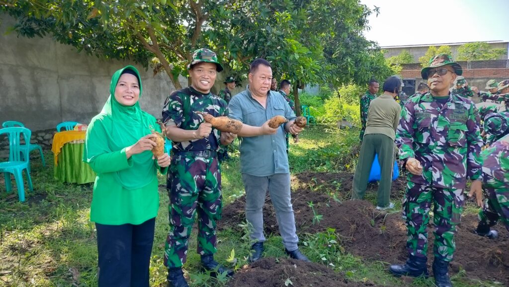 Panen Raya Kodim 1606: Sinergi TNI dan Petani Lokal