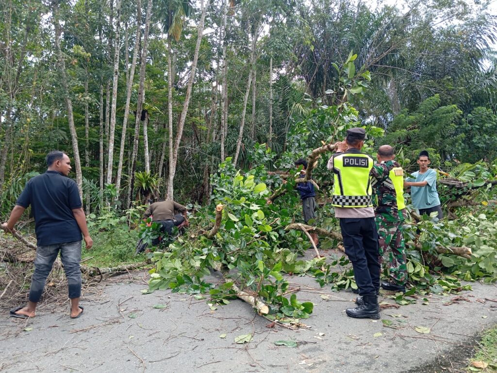 Sertu Robet Babinsa Koramil 10/Woyla Barat Kodim 0105 /Aceh Barat bersama warga membersih batang pohon tumbang Menutupi Badan Jalan