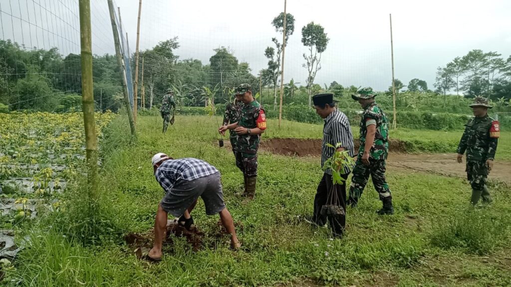 Kodim 0707/Wonosobo Tanam 2.250 Pohon Sukun, Jaga Lingkungan dan Bantu Ekonomi Warga