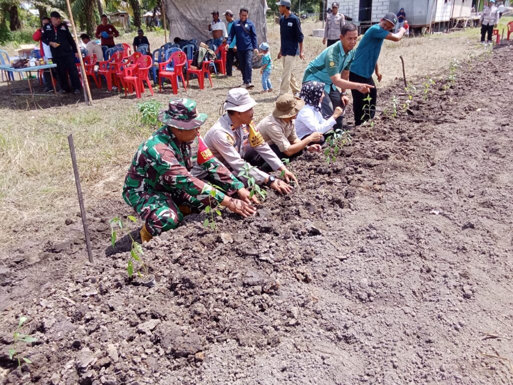 Buka Lahan Bercocok Tanam ” Babinsa Dan Bhabinkamtibmas Bantu Warga Desa Penggalaman Tanam Jagung 