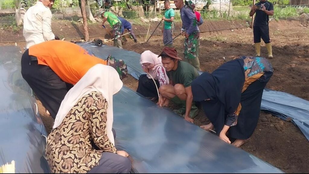 Personil Kodim Melaksanakan Mulsa Ketahanan Pangan IFS