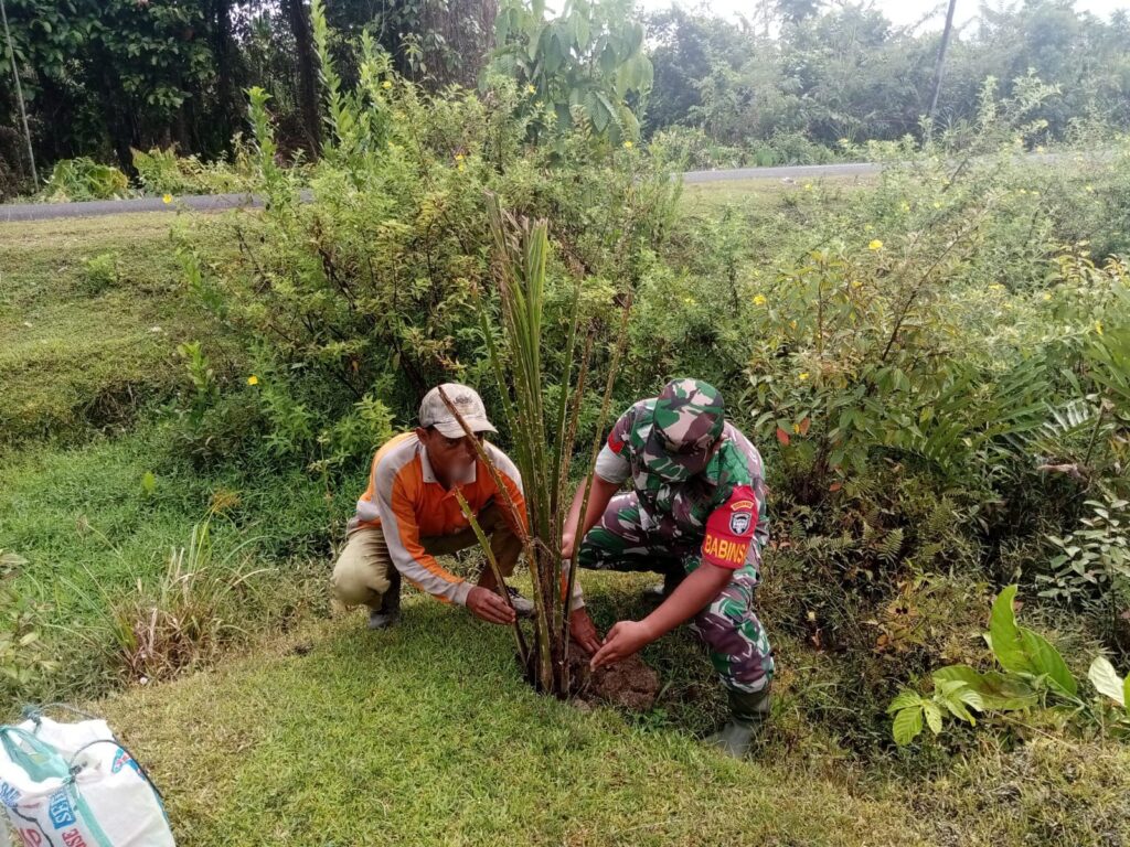 Babinsa di Babahrot Dorong Warga Kembangkan Prospek Sawit