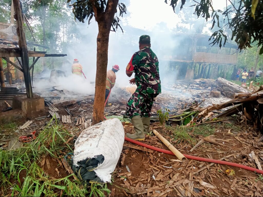 Kebakaran Hebat Hanguskan Kandang Ayam Potong di Desa Pancur