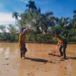 Wujud Kepedulian, Babinsa Bantu Warga Ratakan Tanah Setelah Selesai Bajak Sawah.