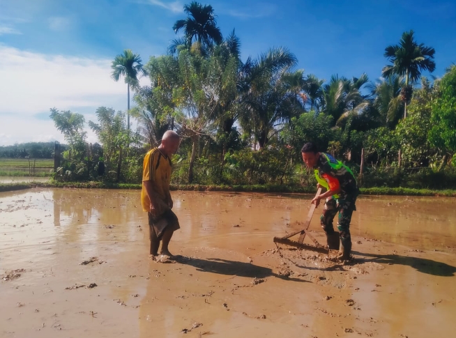 Wujud Kepedulian, Babinsa Bantu Warga Ratakan Tanah Setelah Selesai Bajak Sawah.