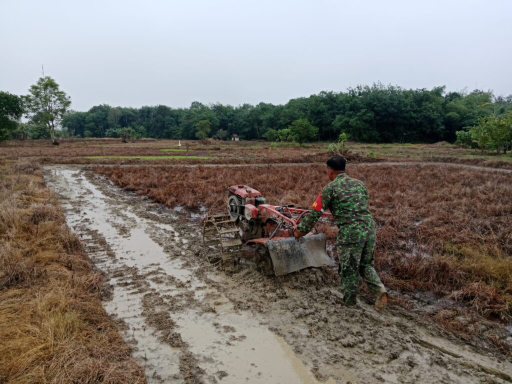 Babinsa Barabai Dukung Ketahanan Pangan, Bantu Petani Olah Lahan