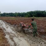 Babinsa Barabai Dukung Ketahanan Pangan, Bantu Petani Olah Lahan