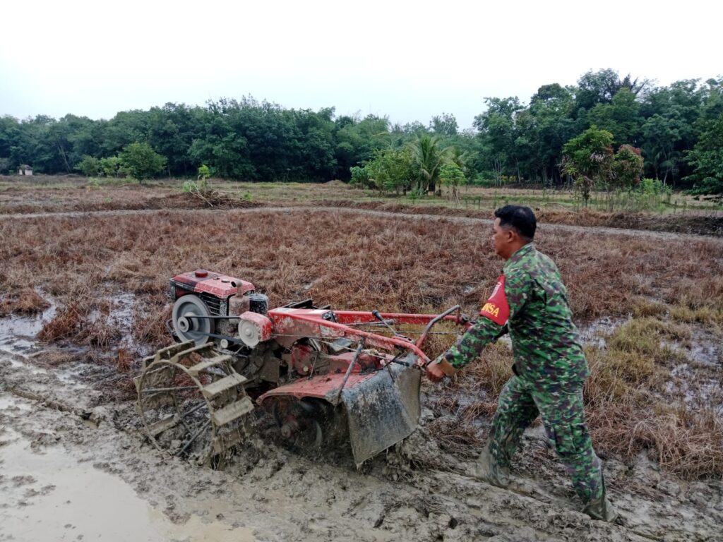 Babinsa Barabai Berdayakan Petani, Tingkatkan Produksi Padi