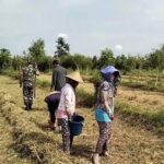 Babinsa Desa Darungan Bersama Poktan Tani Makmur Tanam Jagung di Lahan LMDH Wonoyoso