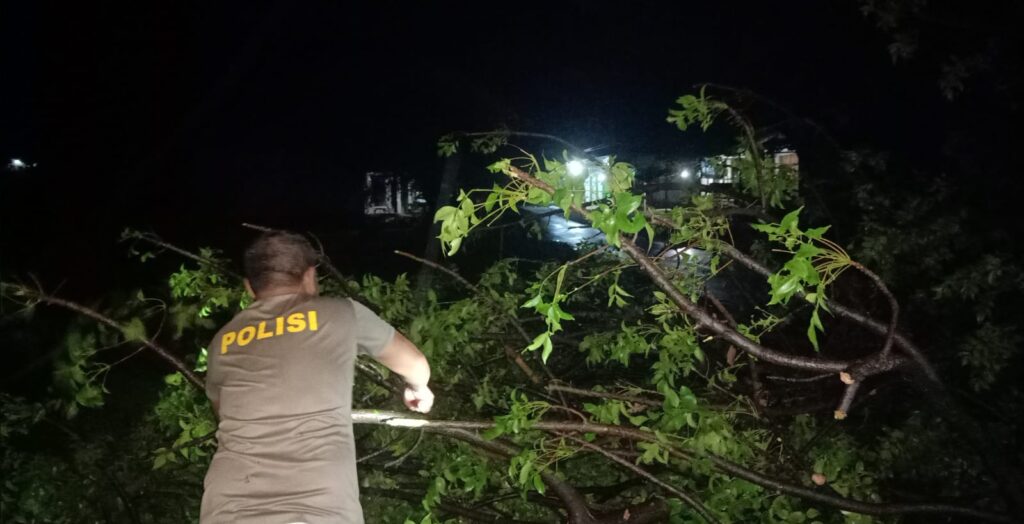 Quick Response, Polsek Kayangan Gandeng Damkar Evakuasi Pohon Tumbang