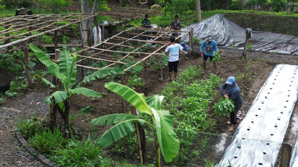 Integrated Farming System Kerja Sama Kodim 1614/Dompu dan BSI Mountrash Dompu