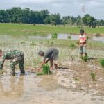 Wujud Nyata Komitmen TNI Dukung Pembangunan Dan Kesejahteraan Masyarakat, Ini Yang Dilakukan Babinsa LAS