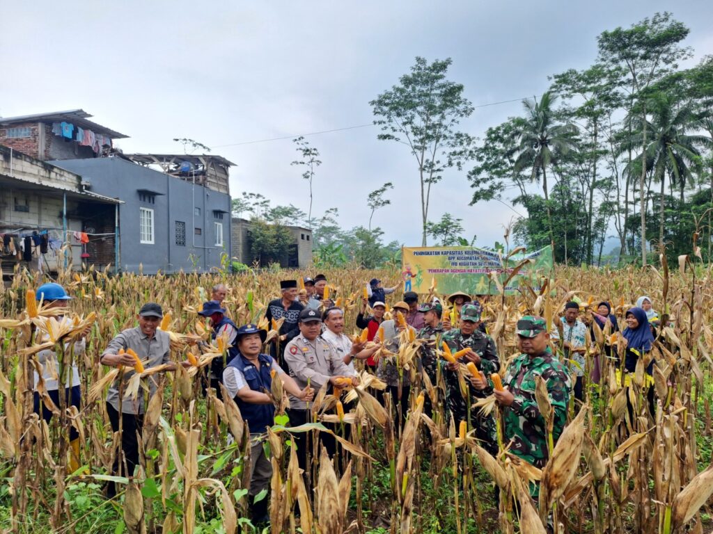 Koramil 14/Sukoharjo Dukung Farmer Field Day 2024 untuk Pertanian Ramah Lingkungan