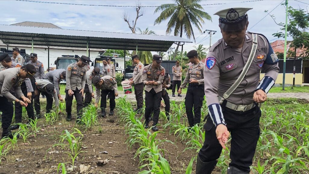 Polres Lombok Utara Kembali Gelar Pemupukan ke 2 Program Asta Cita Ketahanan Pangan