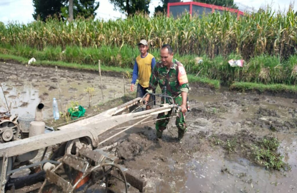 Turun Ke Sawah, Babinsa Bendogerit Bantu Siapkan Lahan Petani