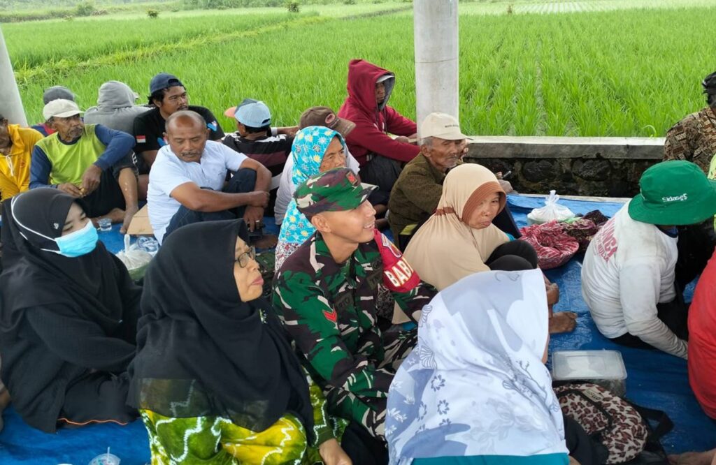 Babinsa Dan Ppl Kemloko Ikuti “Jagong Petani” Diskusi Bersama Kelompok Tani Sido Makmur