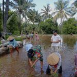 Kolaborasi Babinsa dan PPL Dorong Ketahanan Pangan Nasional