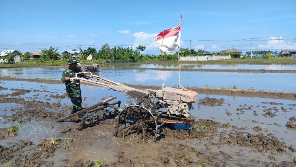 Babinsa Gondang Dampingi Petani Siapkan Lahan Tanam Padi