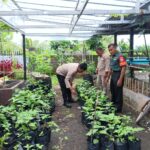 TNI-Polri Dan Stakeholder Dukung Program Pekarangan Bergizi di Loteng.