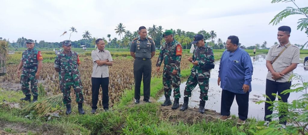 Komandan Kodim 1615/Lotim Tinjau Lahan Pertanian Kering Milik PT. Shadana Arif Nusa