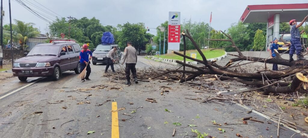 Pohon Tumbang Tutupi Jalan, Polsek Kayangan bersama Damkar Respon Cepat