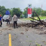 Pohon Tumbang Tutupi Jalan, Polsek Kayangan bersama Damkar Respon Cepat