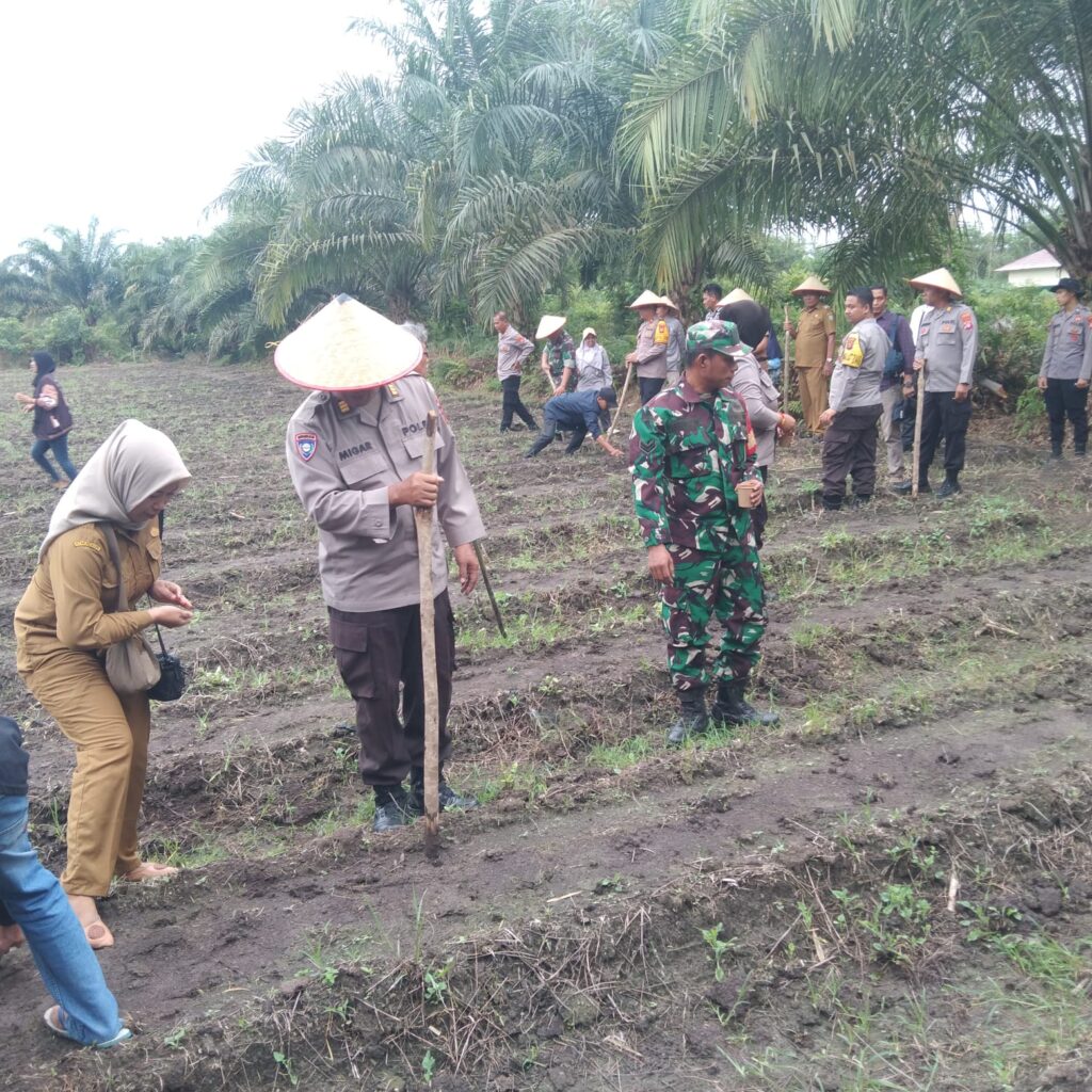 Danramil 1015-03/MB Ketapang Hadiri Penanaman Jagung Serentak Satu Juta Hektar