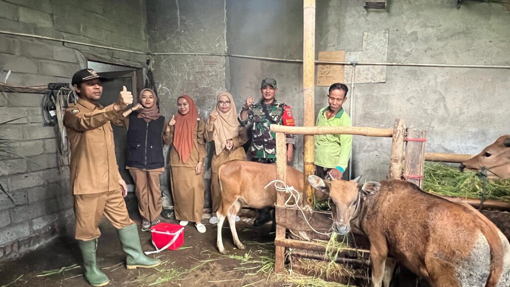 Babinsa Desa Loyok Dampingi Vaksinasi Hewan Ternak di Dusun Wengkang