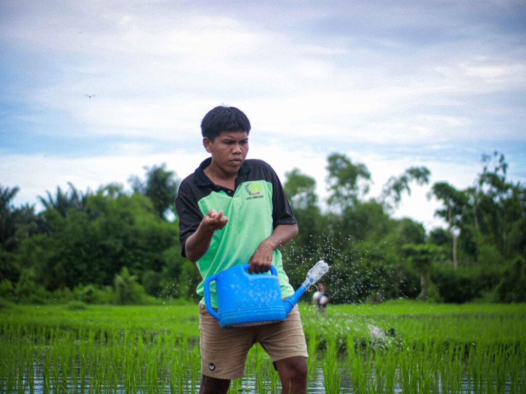 Dukung Ketahanan Pangan Nasional, Lapas Lombok Barat Lakukan Pemupukan Tanaman Padi