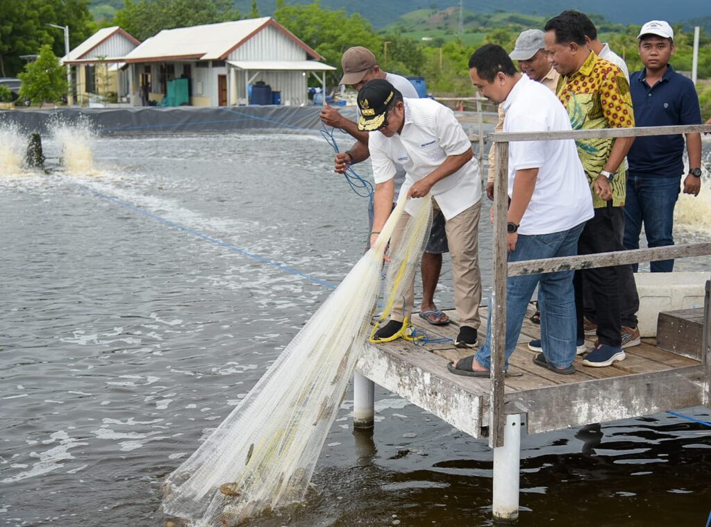 Panen Udang di Sumbawa, Pj Gubernur: Menuju Kedaulatan Pangan yang Kuat dari Segala Aspek